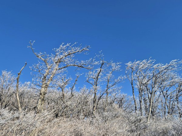 Découvrez les traitements pour sublimer votre beauté à lille