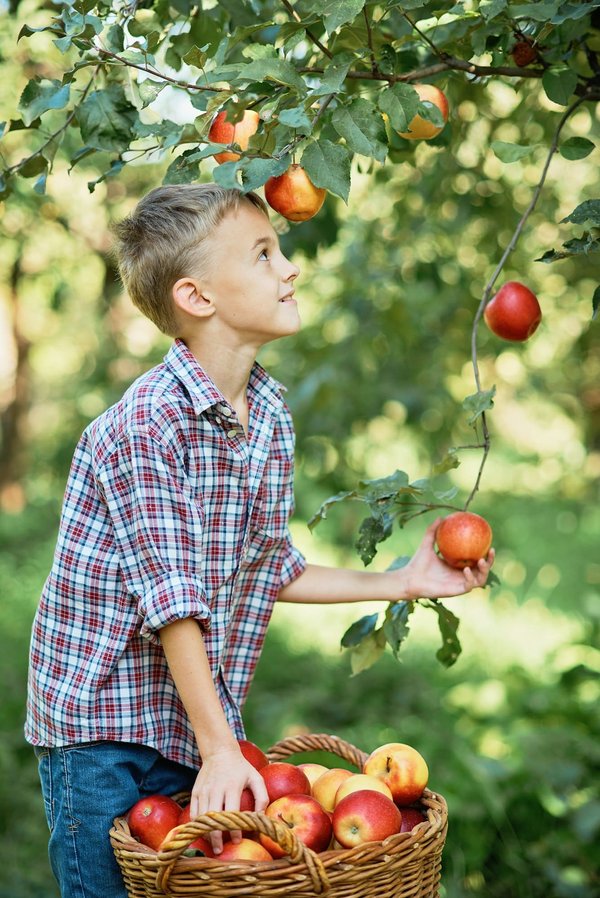L'importance de la nutrition dans la santé publique et leurs effets à long terme